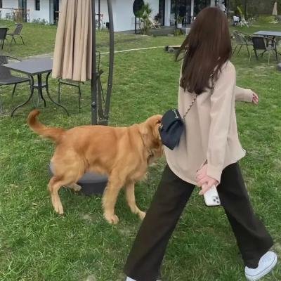 女人我最大